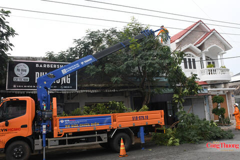 TP. Hồ Chí Minh chủ động giải pháp bảo đảm an toàn điện mùa mưa bão