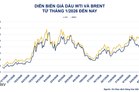 Giá dầu thô tăng vọt 4% lên 104,28 USD/thùng