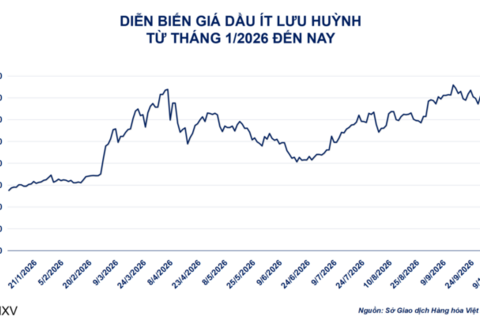 Giá đậu tương kỳ hạn tháng 11 tăng 1,1%, lên 474,7 USD/tấn