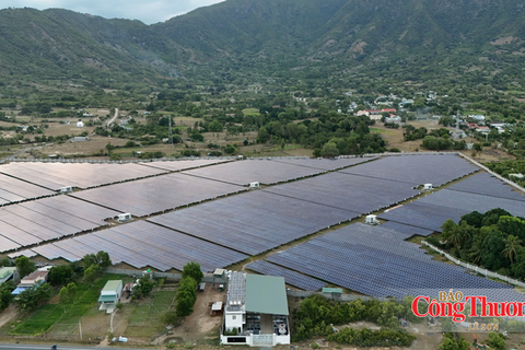 Phát triển điện mặt trời trong nông nghiệp: Bài học từ châu Âu
