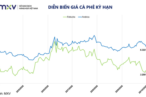Giá cà phê giảm phiên thứ 5 liên tiếp, Robusta về mức thấp nhất một năm