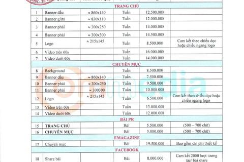 Báo giá website năm 2024