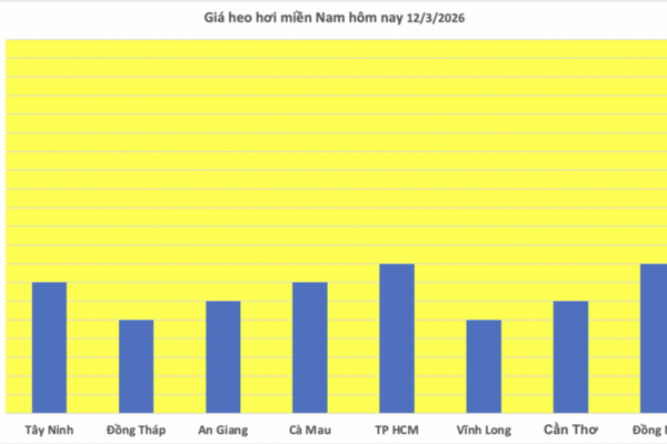Giá heo hơi hôm nay 12/3/2026: Biến động trái chiều