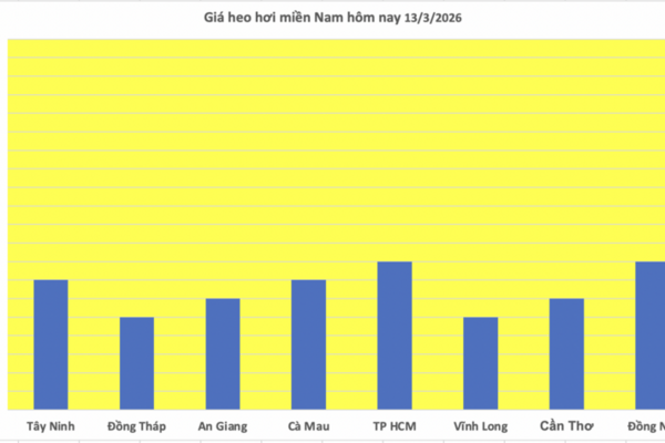 Giá heo hơi hôm nay 13/3/2026: Biến động trái chiều