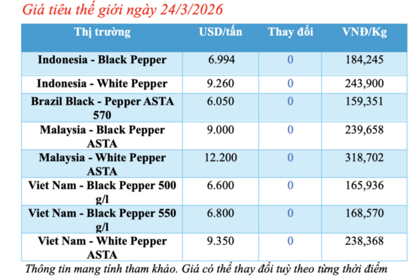 Giá tiêu hôm nay 24/3/2026: Giữ đà ổn định, cao nhất 136.000 đồng/kg