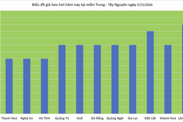 Giá heo hơi hôm nay 27/3/2026: Giảm tại miền Bắc