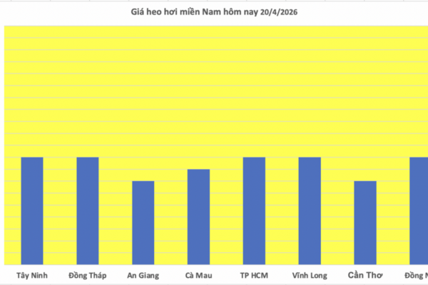 Giá heo hơi hôm nay 20/4/2026: Tăng nhẹ tại miền Trung