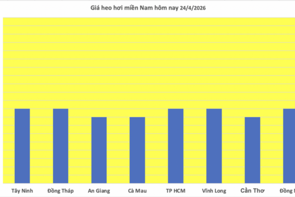 Giá heo hơi hôm nay 24/4/2026: Tăng vài nơi