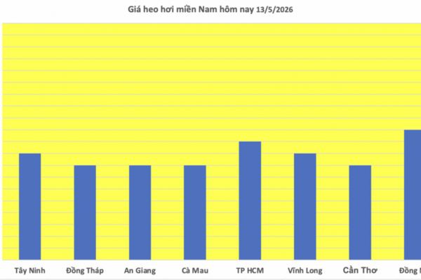 Giá heo hơi hôm nay 13/5/2026: Tăng vài nơi tại miền Bắc, miền Trung