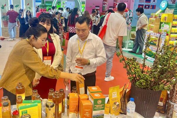 Sắp diễn ra hội nghị kết nối cung cầu nông sản Gia Lai năm 2026