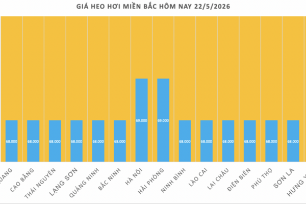 Giá heo hơi hôm nay 22/5/2026: Tăng duy nhất tại 1 địa phương