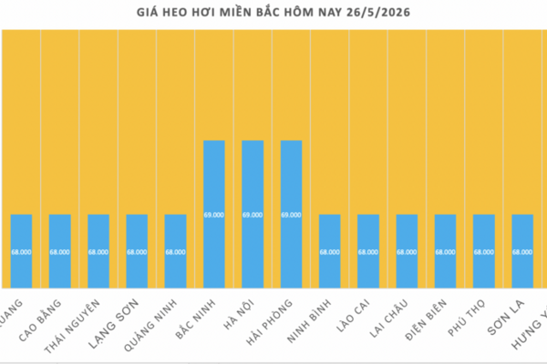 Giá heo hơi hôm nay 26/5/2026: Tăng vài nơi