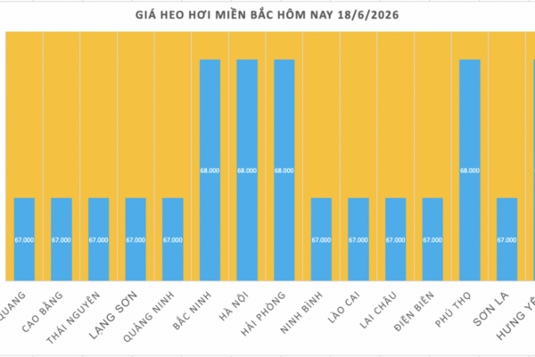 Giá heo hơi hôm nay 18/6/2026: Giảm cục bộ tại miền Trung và miền Nam