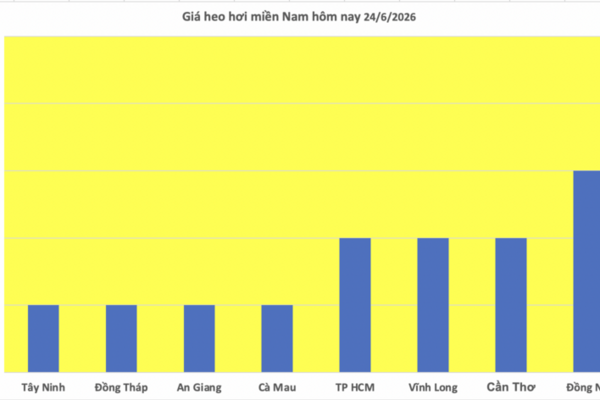Giá heo hơi hôm nay 24/6/2026: Giảm rải rác tại miền Trung, miền Nam