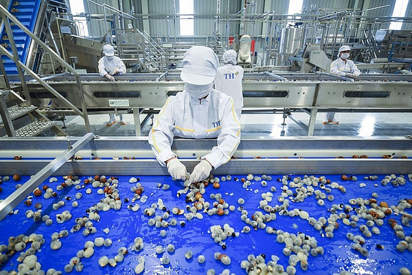 Sơn La: Phát huy 'lợi thế kép' từ năng lượng tái tạo và chế biến nông sản