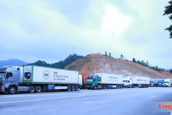 Cập nhật tin xuất nhập khẩu qua các cửa khẩu Lạng Sơn ngày 28/6/2026