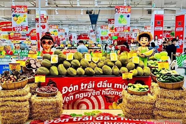 Gia Lai: Công nghiệp tăng 9,52%, xuất khẩu vượt 2,1 tỷ USD 6 tháng đầu năm
