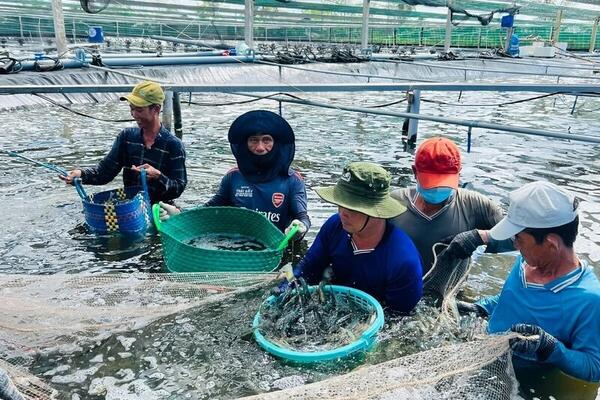 Công nghiệp, thương mại Cà Mau khởi sắc trong nửa đầu năm 2026