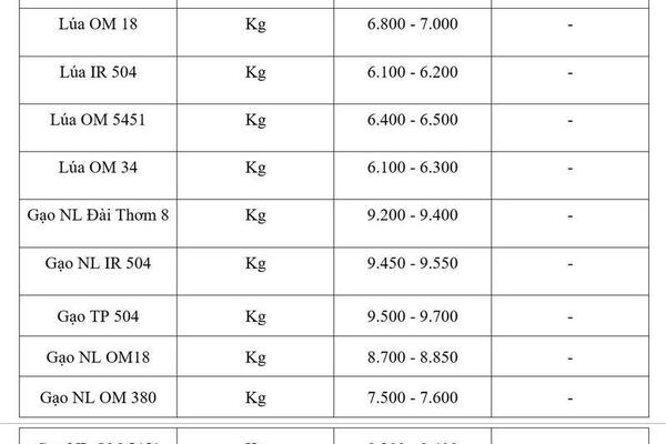 Giá lúa gạo hôm nay ngày 22/7/2026: Gạo xuất khẩu tiếp đà tăng