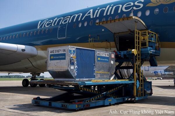 Logistics hàng không: Thấy gì qua những con số?