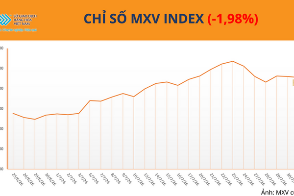 Giá đậu tương giảm hơn 5% khi thời tiết Mỹ thuận lợi trở lại