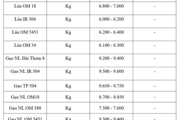 Giá lúa gạo hôm nay ngày 4/8/2026: Gạo xuất khẩu tăng