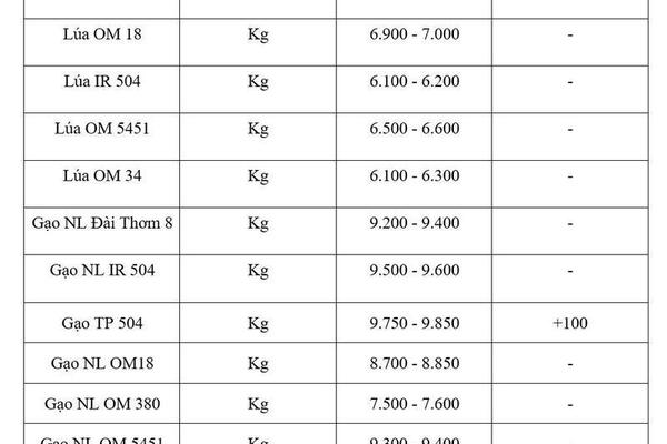 Giá lúa gạo hôm nay ngày 6/8/2026: Gạo xuất khẩu biến động trái chiều