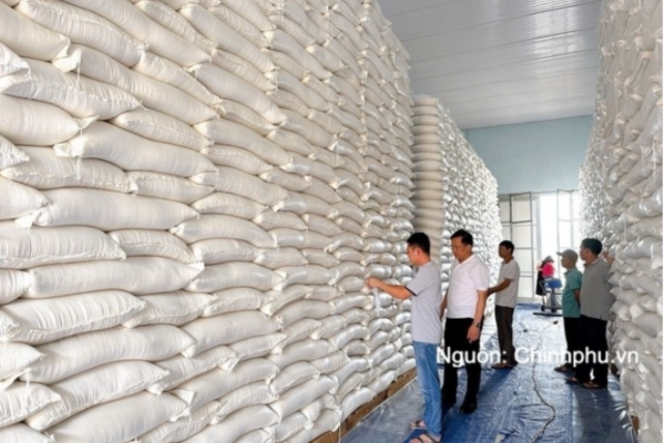 Các trường hợp nhập, xuất hàng dự trữ quốc gia theo quy định mới