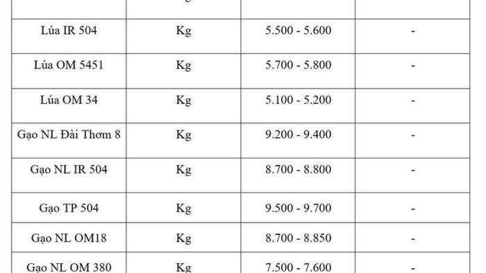 Giá lúa gạo hôm nay ngày 15/6/2026: Tấm thơm giảm nhẹ