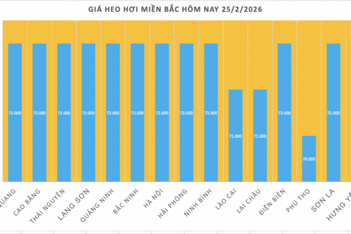Giá heo hơi hôm nay 25/2/2026: Tiếp đà đi xuống