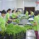 Liên minh HTX Việt Nam chung tay ủng hộ nhân dân Cuba: Lan tỏa tinh thần đoàn kết, chia sẻ