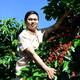 Giá cà phê hôm nay 20/8/2025: Thế giới tăng, trong nước giảm nhẹ