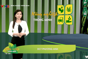 Nông sản Việt Nam - Xây dựng thương hiệu theo từng địa phương