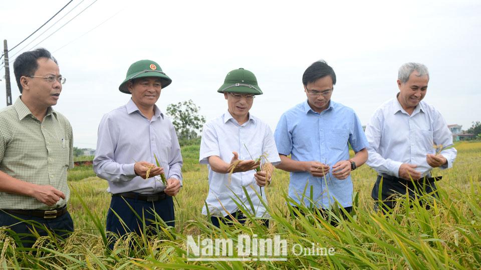 Các đồng chí: Phạm Đình Nghị, Phó Bí thư Tỉnh ủy, Chủ tịch UBND tỉnh;  Nguyễn Phùng Hoan, Ủy viên Ban TVTU, Phó Chủ tịch UBND tỉnh kiểm tra  kết quả sản xuất vụ mùa tại xã Mỹ Thịnh (Mỹ Lộc).