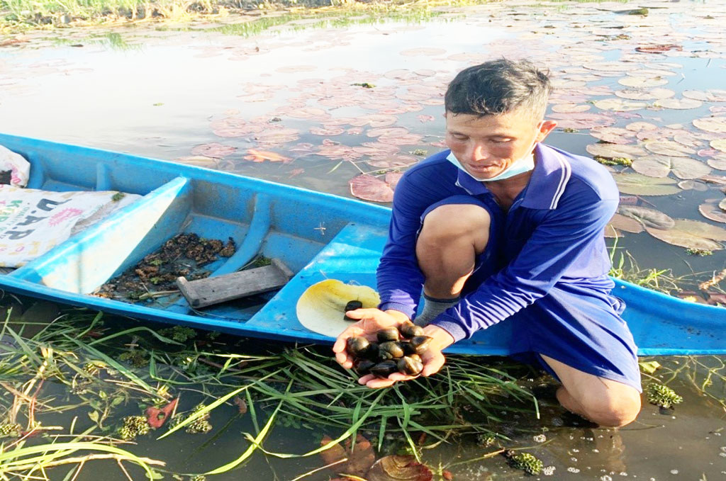 Anh Vũ kiểm tra chất lượng ốc.