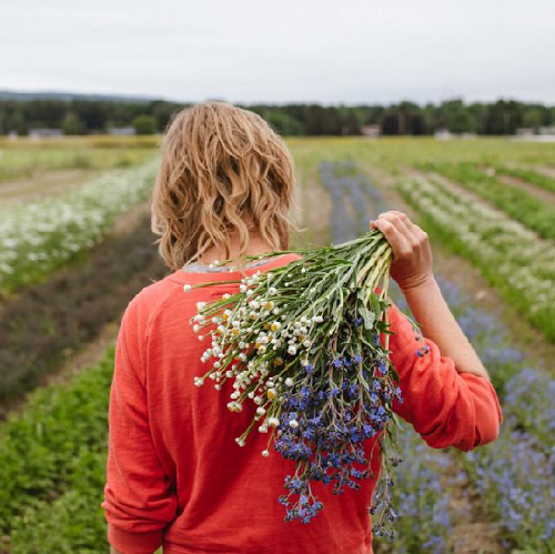 Jenny Elliott, đồng sở hữu cửa hàng hoa Tiny Hearts ở Hillsdale (New York). Ảnh: Bloomberg.