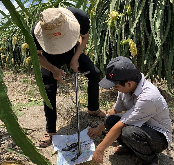 Tiến hành lấy mẫu đất tại Long An.