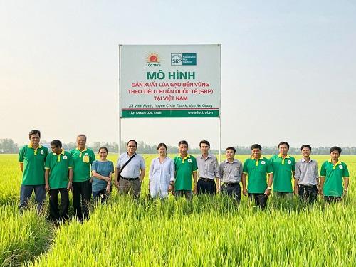 Mô hình sản xuất lúa theo tiêu chuẩn quốc tế SRP của Tập đoàn Lộc Trời.