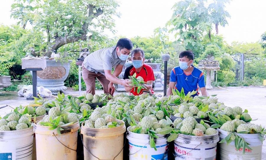 Quảng Ninh- Đa dạng kênh tiêu thụ nông sản an toàn trong mùa dịch