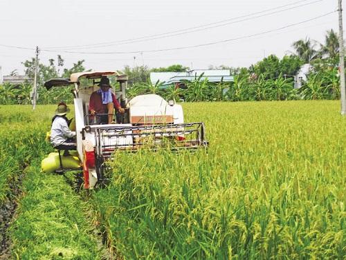 Cơ giới hóa sản xuất là một yếu tố quan trọng làm dư thừa lao động nông nghiệp, khiến lao động nông thôn bỏ đi nơi khác làm công nhân.