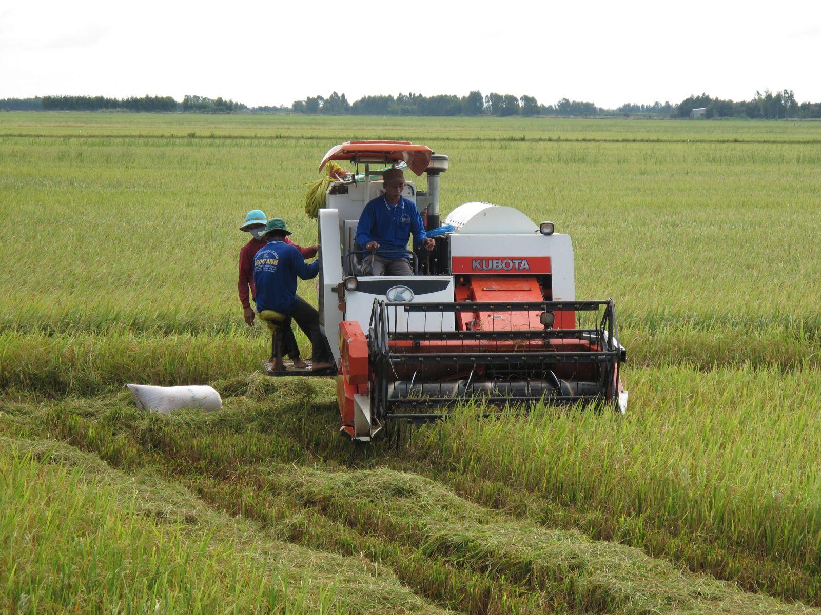 Kinh tế tập thể đã góp phần thay đổi phương thức sản xuất cũ, tạo được chuỗi liên kết và đầu ra ổn định hơn cho nông sản