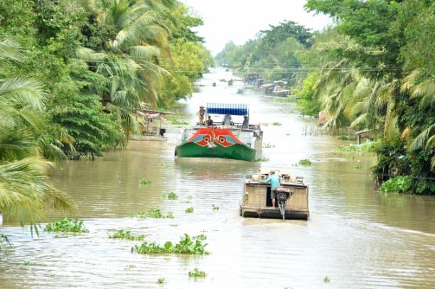 Người dân ĐBSCL trồng cây xanh ven bờ sông, kênh, rạch vừa bảo vệ đất, chống sạt lở. Ảnh: Lê Hoàng Vũ.