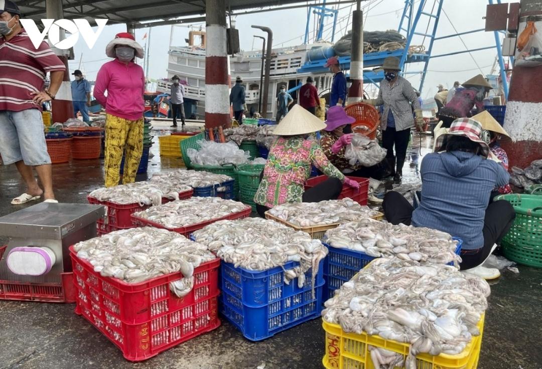 Hàng trăm tấn hải sản sau đánh bắt của ngư dân TP Vũng Tàu chưa có thương lái thu mua. (Ảnh: Lưu Sơn)