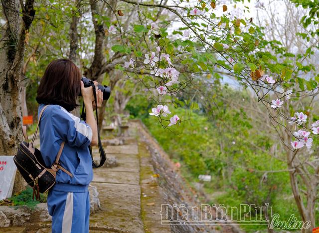 Lễ hội hoa vào mùa - Ảnh 3.