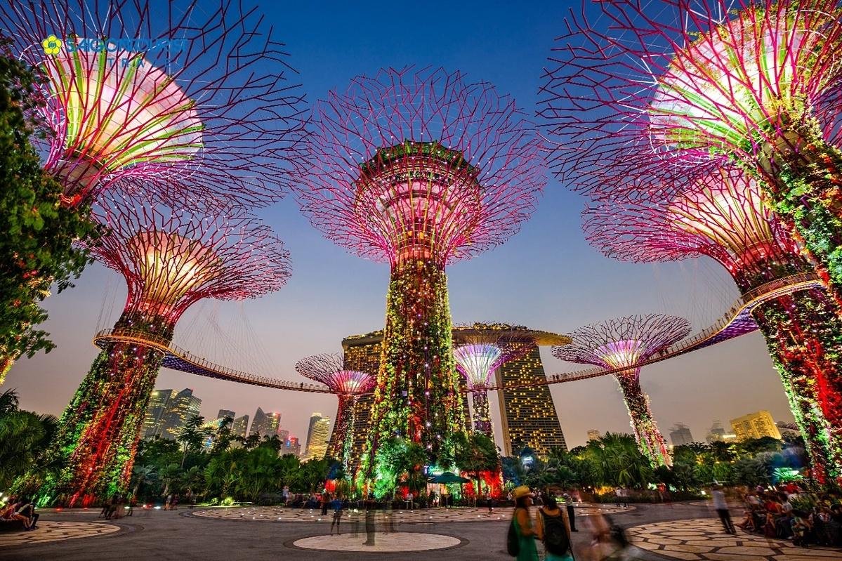 singapore1-1658724048-16587242-6508-5886