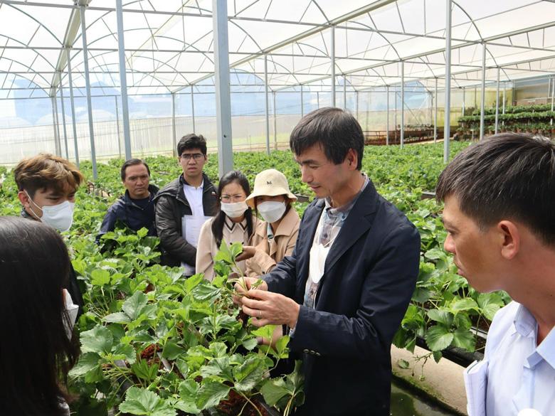 Nam Anh Farm đang là điểm tham quan, học tập kinh nghiệm của nhiều nông dân sản xuất dâu tây trong và ngoài nước