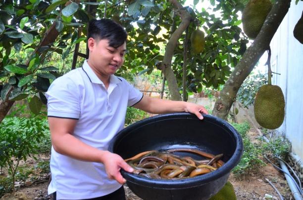 Anh Nguyễn Minh Thao bên chậu lươn vừa nhập về. Ảnh: Dương Đình Tường.