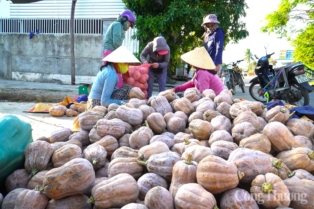 Khánh Hòa: Học cách nâng cao hiệu quả kết nối, tiêu thụ nông sản