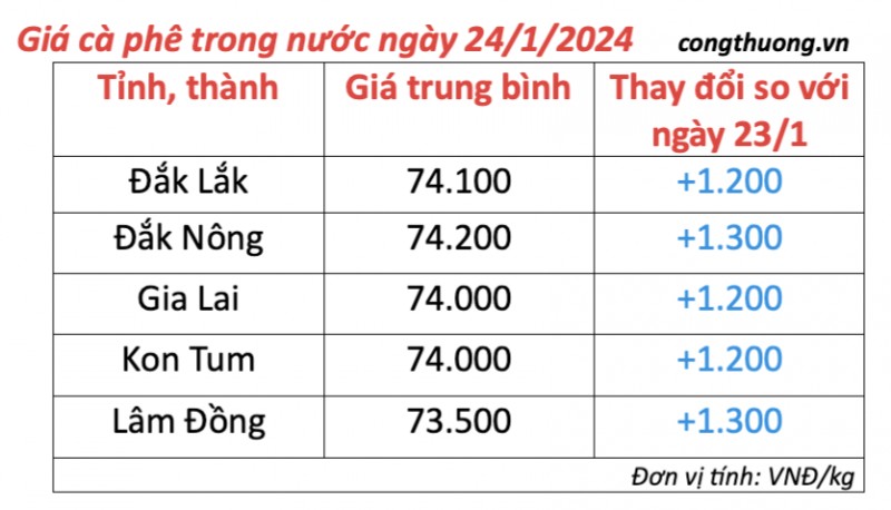 Giá cà phê hôm nay, 24/1/2024: Giá cà phê trong nước tăng cao