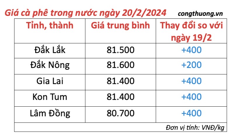 Giá cà phê hôm nay, 20/2/2024: Giá cà phê trong nước